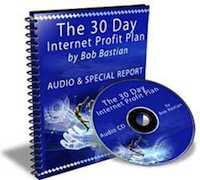 Ebooks Marketing The - 30 Day Internet Profit Plan