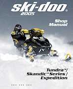 2005 550 summit skidoo electrical problems